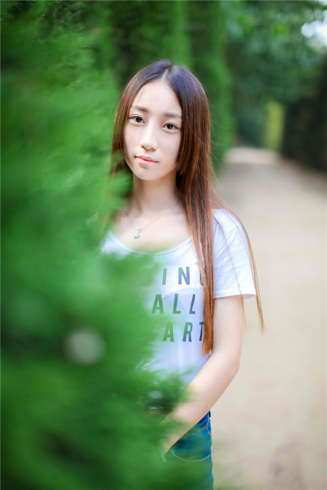 电视剧延安锄奸